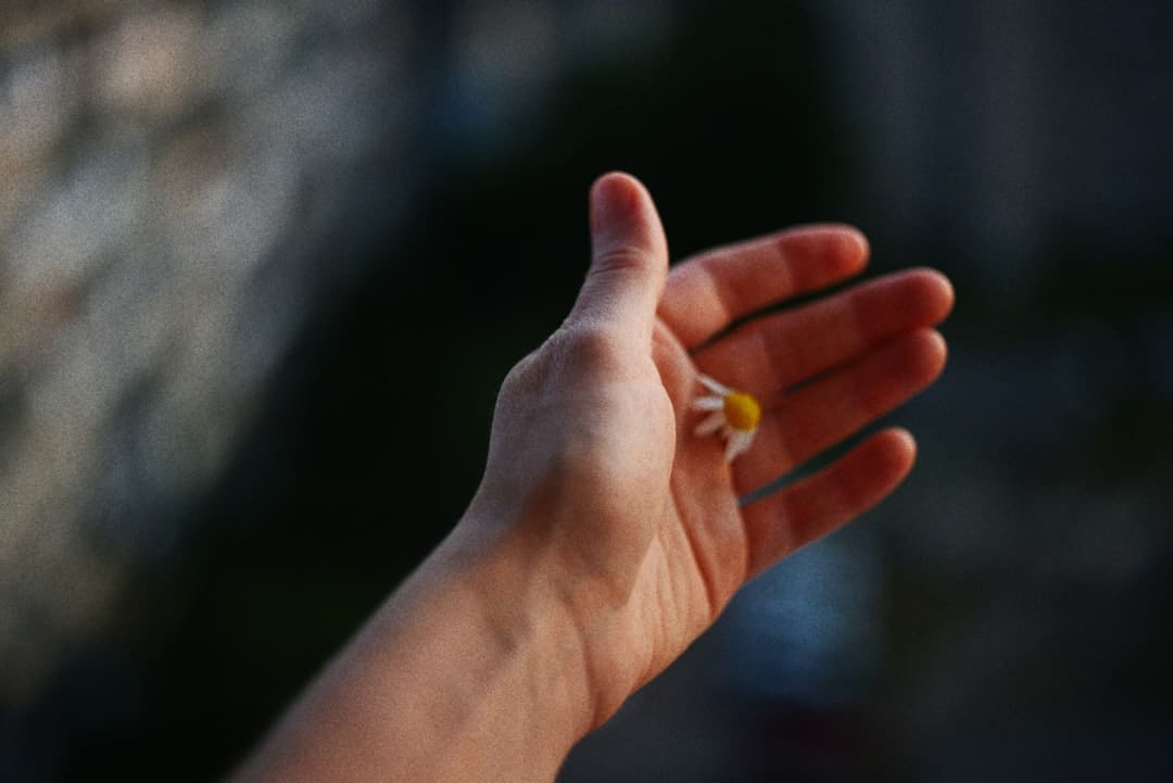 火车学生票优惠新政,行将上线!